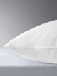 Natural 100% Duck Feather Standard Pillow, Soft